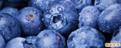 蓝莓可以泡酒吗 蓝莓泡酒有什么功效