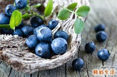 蓝莓一次吃多少合适 新鲜蓝莓怎么保存
