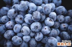 没熟的蓝莓能吃吗 蓝莓怎么选择好不好