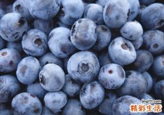 蓝莓外面白色的能吃吗 新鲜蓝莓可以冷冻吗