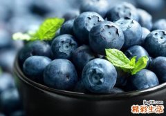 蓝莓和葡萄能一起吃吗 蓝莓不能和什么一起吃
