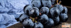 蓝莓每天吃多少合适 蓝莓吃多了会怎么样