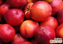 没熟的油桃可以吃吗 油桃生怎么熟快点
