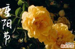 2023年重阳节给老人入土为安仪式可以吗 重阳节老人一般有什么习俗