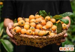 血糖高可以吃枇杷吗 血糖高吃什么水果好