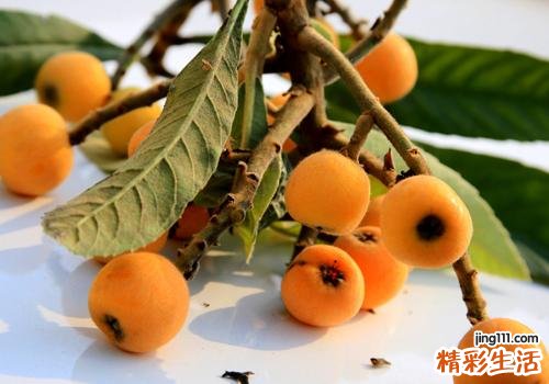 枇杷可以放冰箱吗 枇杷放冰箱能放多久