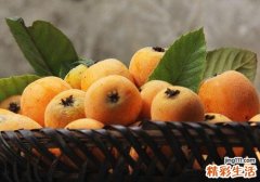 枇杷能多吃吗 枇杷吃多了会上火吗