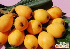 枇杷来月经能吃吗 来月经吃枇杷会怎样