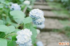 2 四大症状判断是否患了焦虑症