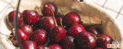 车厘子什么时候上市 买车厘子要买哪个品种