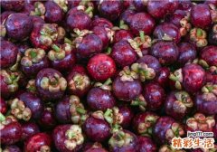如何选购山竹 怎么吃山竹