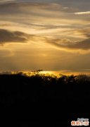 熟芒果怎么保存