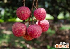 荔枝剥开都是水还能吃吗 荔枝剥开都是水是坏了吗