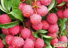 上火可以吃荔枝吗 荔枝这样吃不会上火
