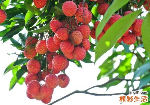 吃完荔枝可以吃巧克力吗 巧克力千万别和这些一起吃