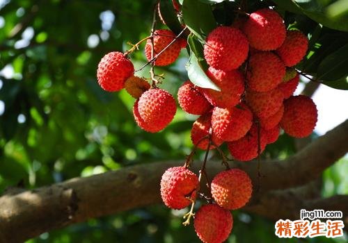 荔枝常温下可以放多久 荔枝这样保存时间更长