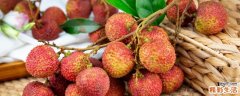 荔枝不能放冰箱保鲜吗 荔枝相当于多少米饭