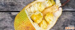 菠萝蜜不适合什么人吃 吃菠萝蜜有什么好处