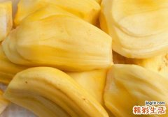 菠萝蜜的核能吃吗 菠萝蜜核不适合什么人吃