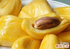 菠萝蜜不熟可以吃吗 菠萝蜜不熟怎么吃好