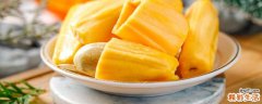 菠萝蜜还硬硬的能吃吗 菠萝蜜果肉硬是没熟吗