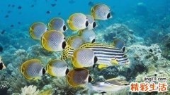 2 宝宝多动症的临床表现