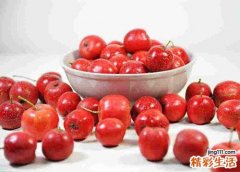 山楂的吃法 及其功效