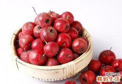 山楂的功效与作用 好处这么多你还不吃吗