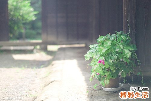 焦虑症的表现及心理疗法