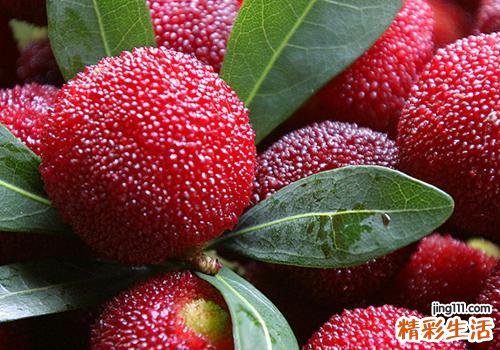 夏季吃杨梅要注意什么 避开这4种禁忌