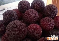 杨梅是酸性还是碱性 杨梅是热性还是凉性