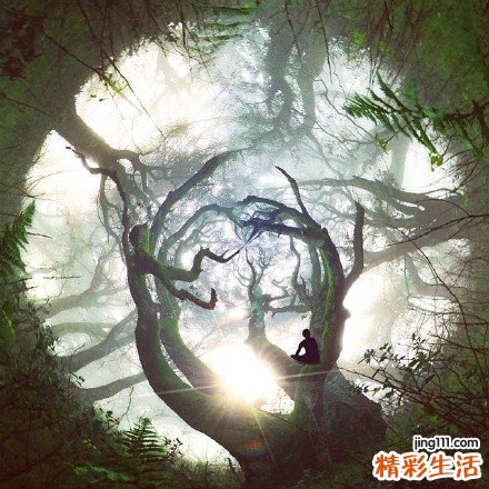 【汤水食疗法】　喝掉烦恼斑点