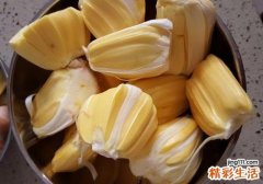 菠萝蜜吃多了会拉肚子吗 菠萝蜜一次可以吃几颗
