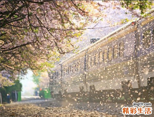 【提升防晒能力】 夏天如何做好防晒