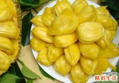 菠萝蜜开了不熟怎么办 菠萝蜜生的怎么催熟