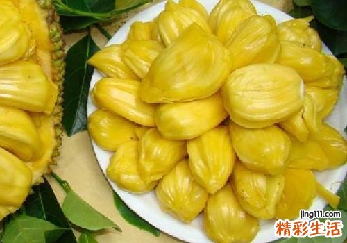 菠萝蜜开了不熟怎么办 菠萝蜜生的怎么催熟