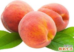 水果桃子的营养价值 吃桃子对身体有什么好处