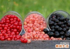 樱桃可以和苹果一起吃吗 樱桃和苹果这样做最好吃