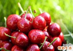 樱桃一天吃多少合适 吃樱桃要注意什么
