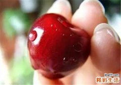 新鲜樱桃怎么保存 新鲜樱桃可以放多久