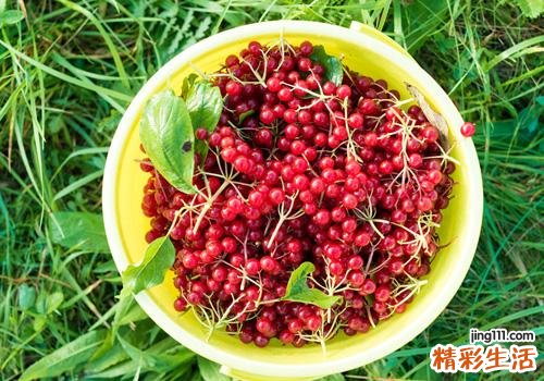 樱桃洗了能放多久 樱桃这样保存时间更长