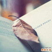 八纲辨证之阴阳