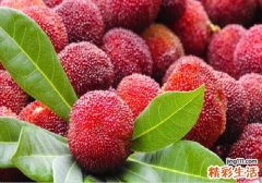 杨梅和樱桃可以同时吃吗 杨梅和樱桃一起吃好吗
