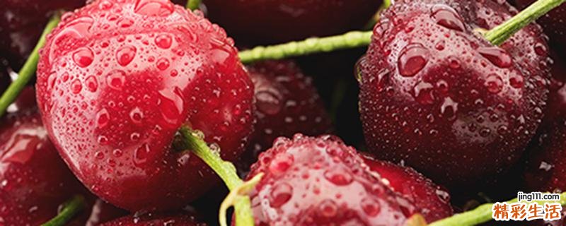 樱桃放泡沫箱能放几天 怎么能让樱桃保存5个月