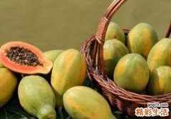 番木瓜有什么作用 番木瓜的适用人群与禁忌人群