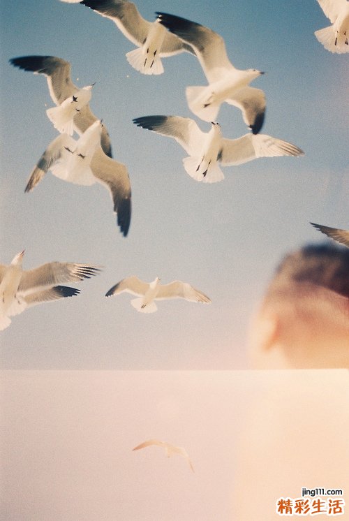 面试时应注意哪些礼仪