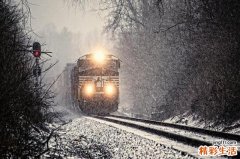 面瘫病理分析及矫治术