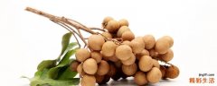 龙眼能和香蕉一起吃吗 龙眼和什么一起吃最好