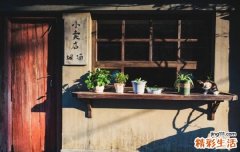 教你7个美容茶秘方