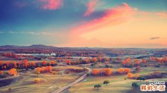 前淋巴细胞性白血病,幼淋巴细胞性白血病 幼淋巴细胞白血病